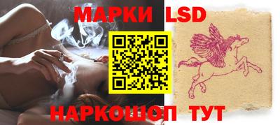 амф Гатчина