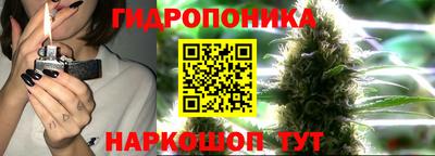 бошки Гай