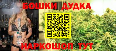 амф Гатчина