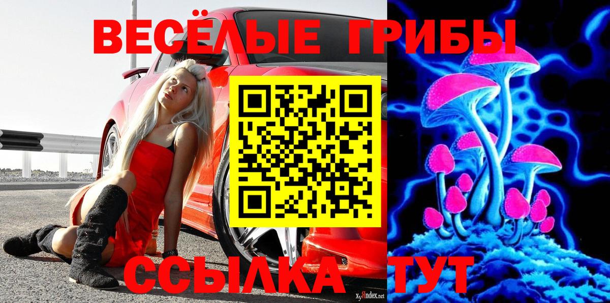 Нижнеудинск  Псилоцибиновые грибы MAGIC MUSHROOMS  Вход с VPN 